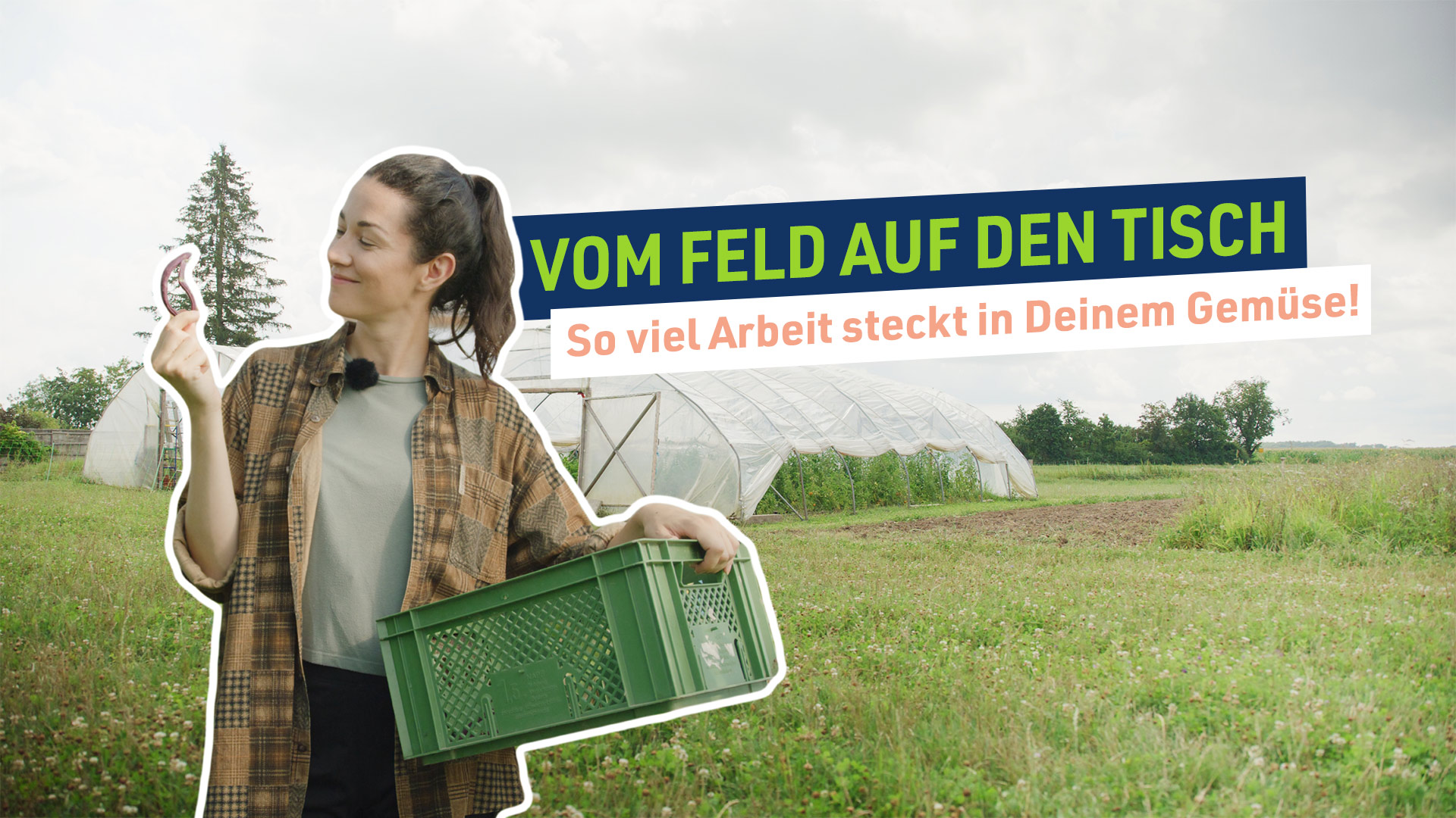 Vom Feld auf den Tisch: So viel Arbeit steckt in Deinem Gemüse