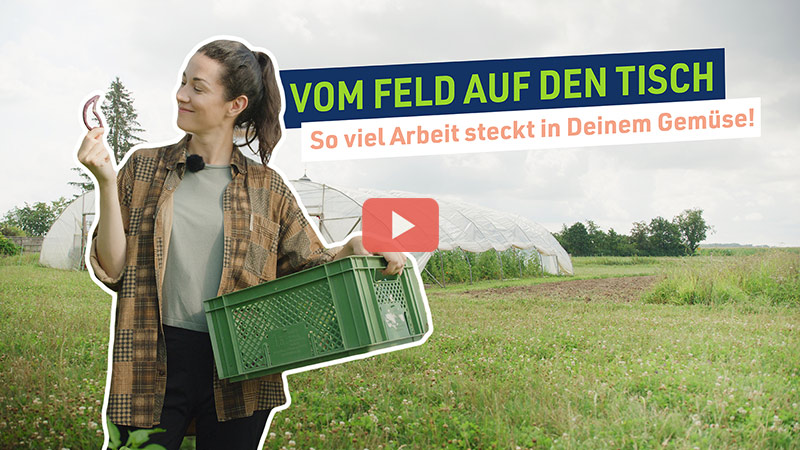 Link führt zum Video; Vom Feld auf den Tisch: So viel Arbeit steckt in Deinem Gemüse!