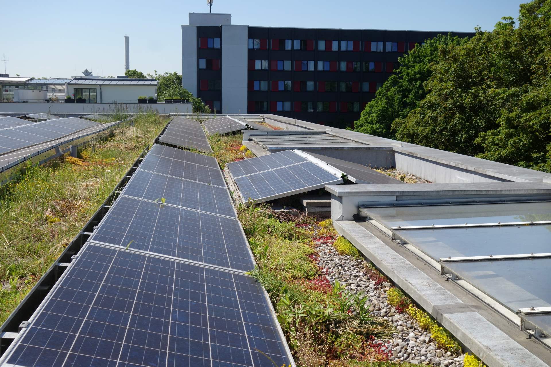 Photovoltaikanlage auf einem Gründach